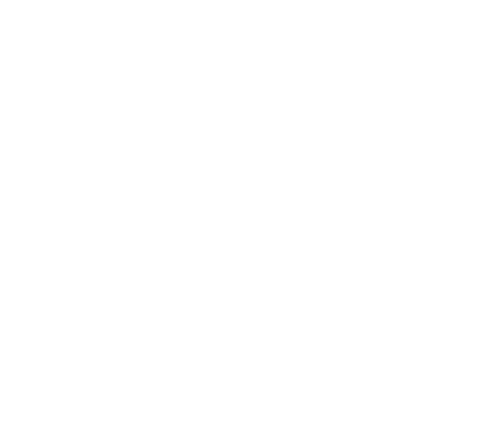 The Annette Strauss Institute